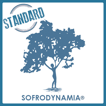 Curso Sofrodynamia