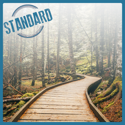 Curso El camino de la ccompasion